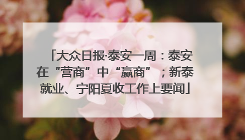 大众日报·泰安一周：泰安在“营商”中“赢商”；新泰就业、宁阳夏收工作上要闻